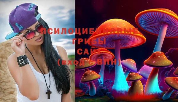 jwh Каменка