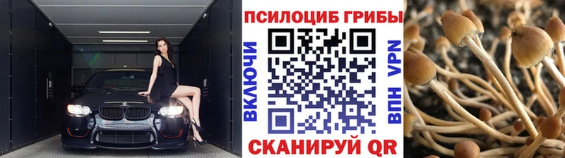 Купить где  Каспийск  Галлюциногенные грибы прущие грибы 