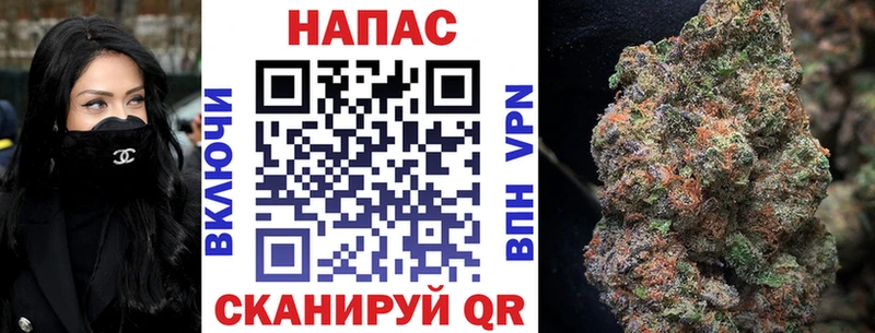 Купить  Каспийск  Марихуана сатива 